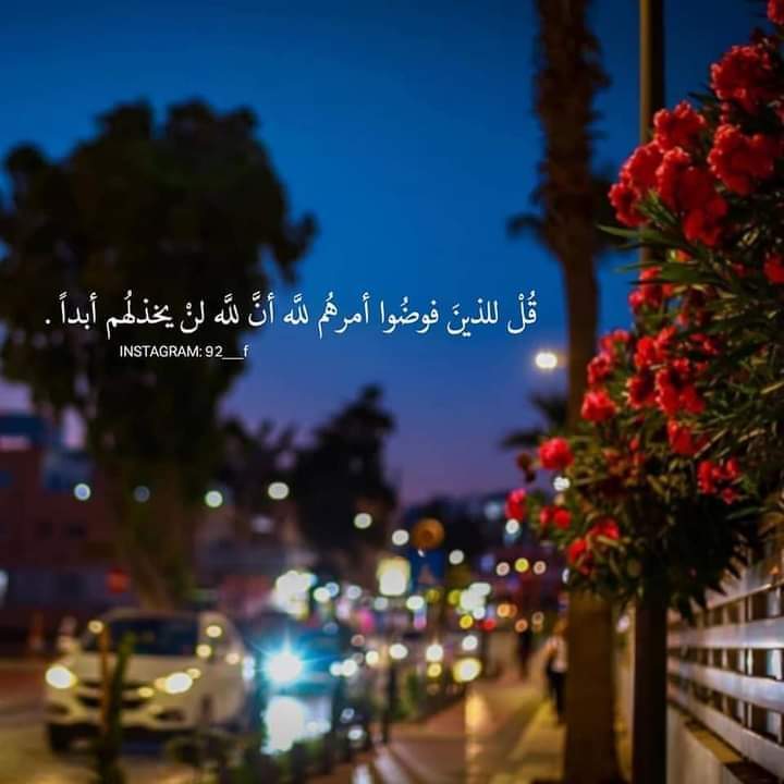 ���� ���� ������ �� ���� ������