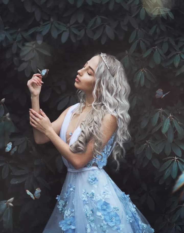 ���� ���� ������ �� ���� ������