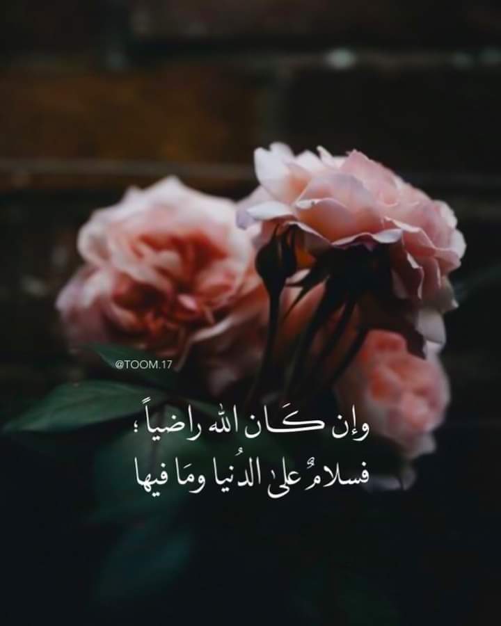 ���� ���� ������ �� ���� ������