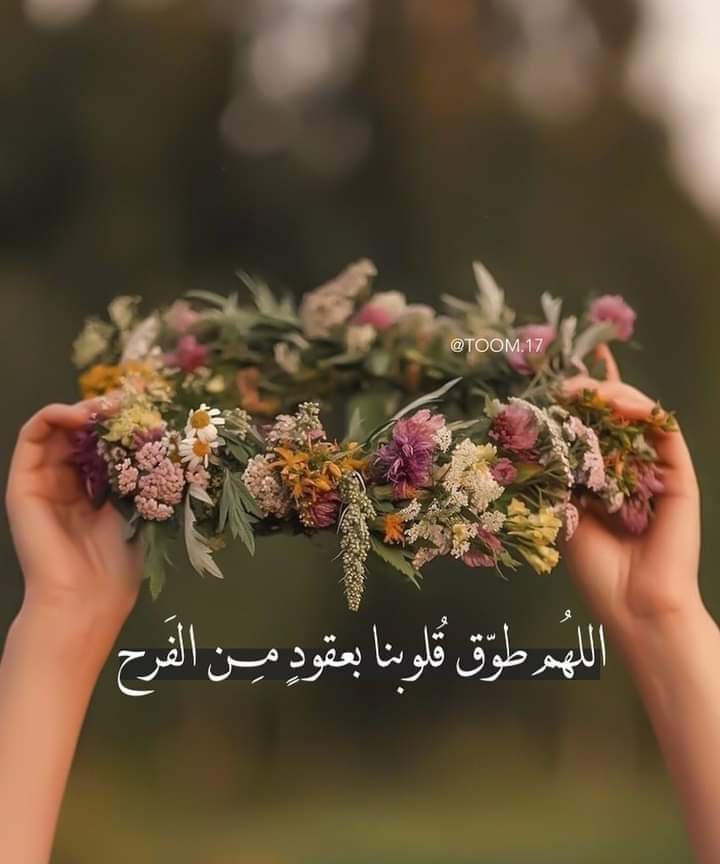 ���� ���� ������ �� ���� ������