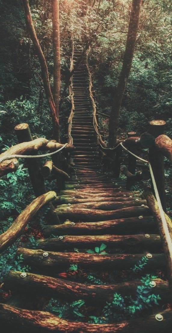 تستطيع أن ترى الصورة بحجمها الطبيعي بعد الضغط عليها