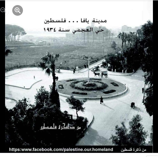 هذا جزء من تاريخ ارض بلادي (فلسطين) P_1962kiunj9