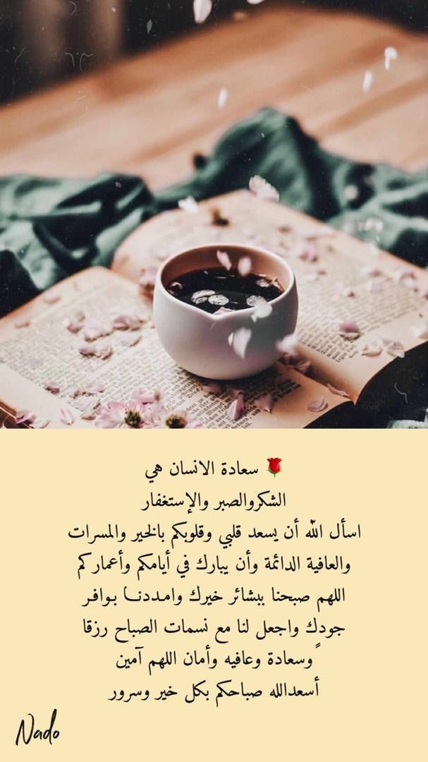 ���� ���� ������ �� ���� ������