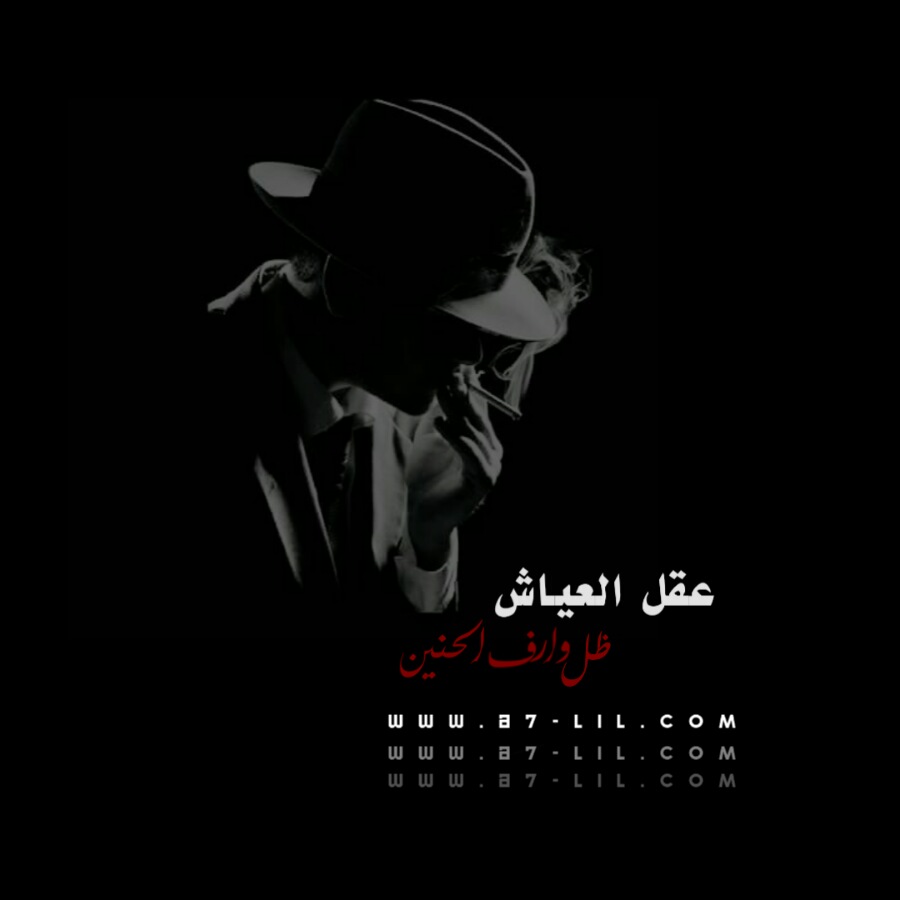 ���� ������ ����� ������ p_19888ma4l0.jpg