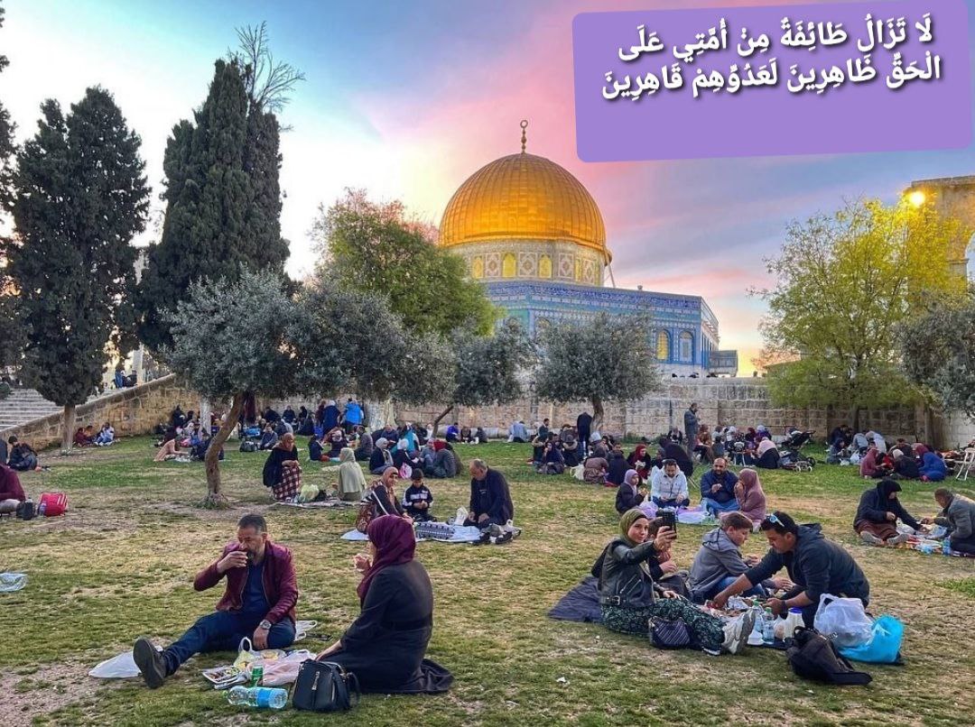 ���� ���� ������ �� ���� ������