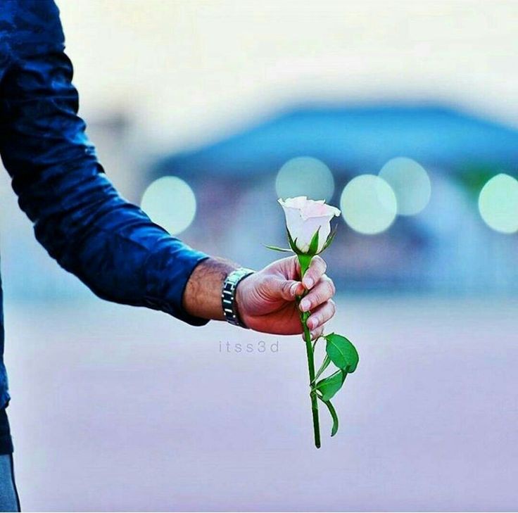 ���� ���� ������ �� ���� ������