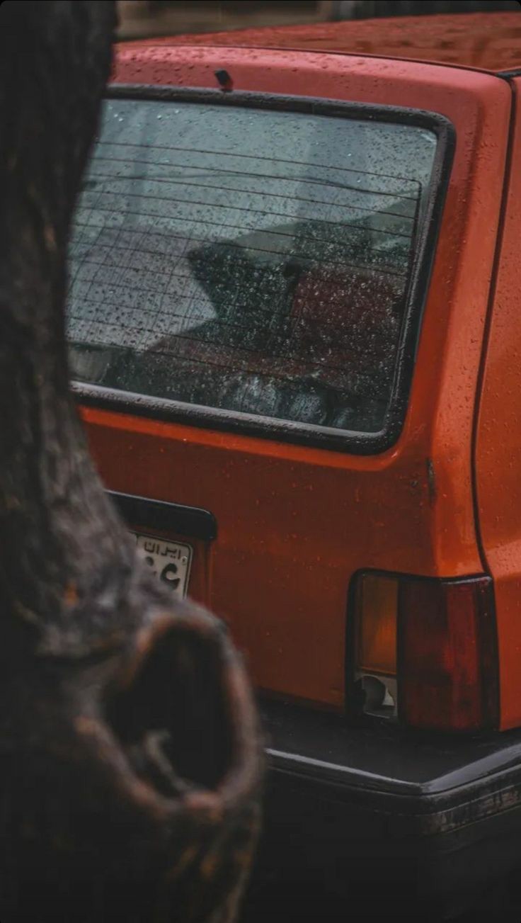 ���� ���� ������ �� ���� ������