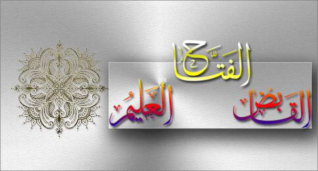 نقره لعرض الصورة في صفحة مستقلة