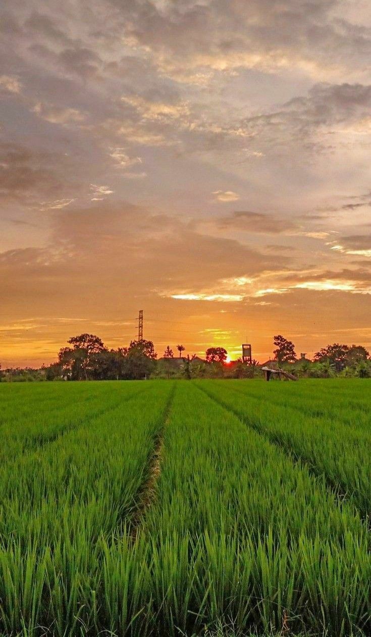 ���� ���� ������ �� ���� ������