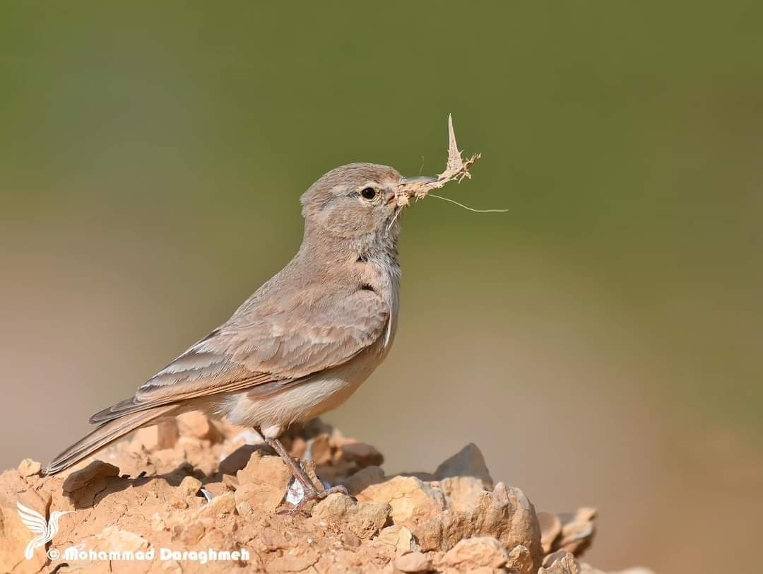 ���� ���� ������ �� ���� ������