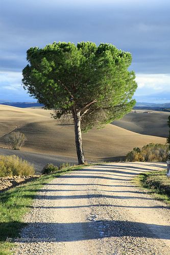 ���� ���� ������ �� ���� ������