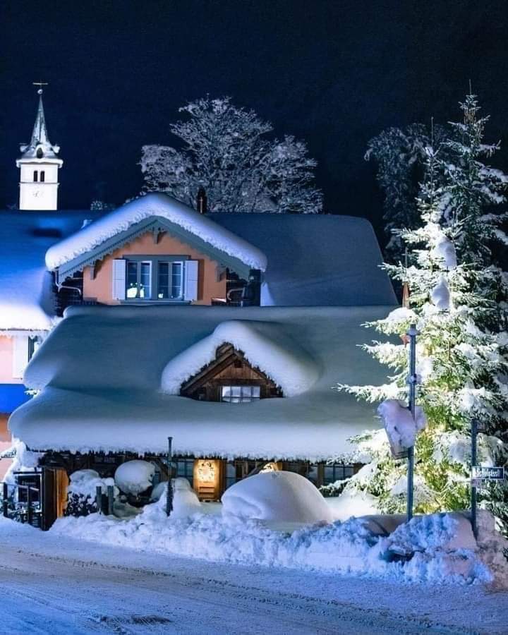 ���� ���� ������ �� ���� ������