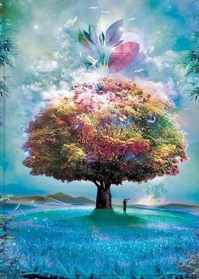 ���� ���� ������ �� ���� ������