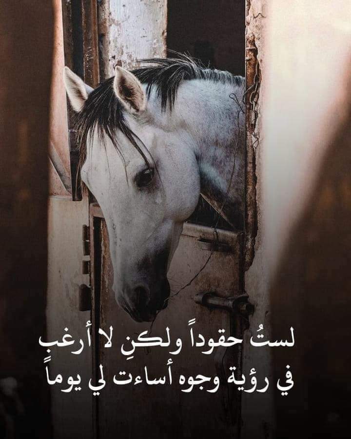 ���� ���� ������ �� ���� ������