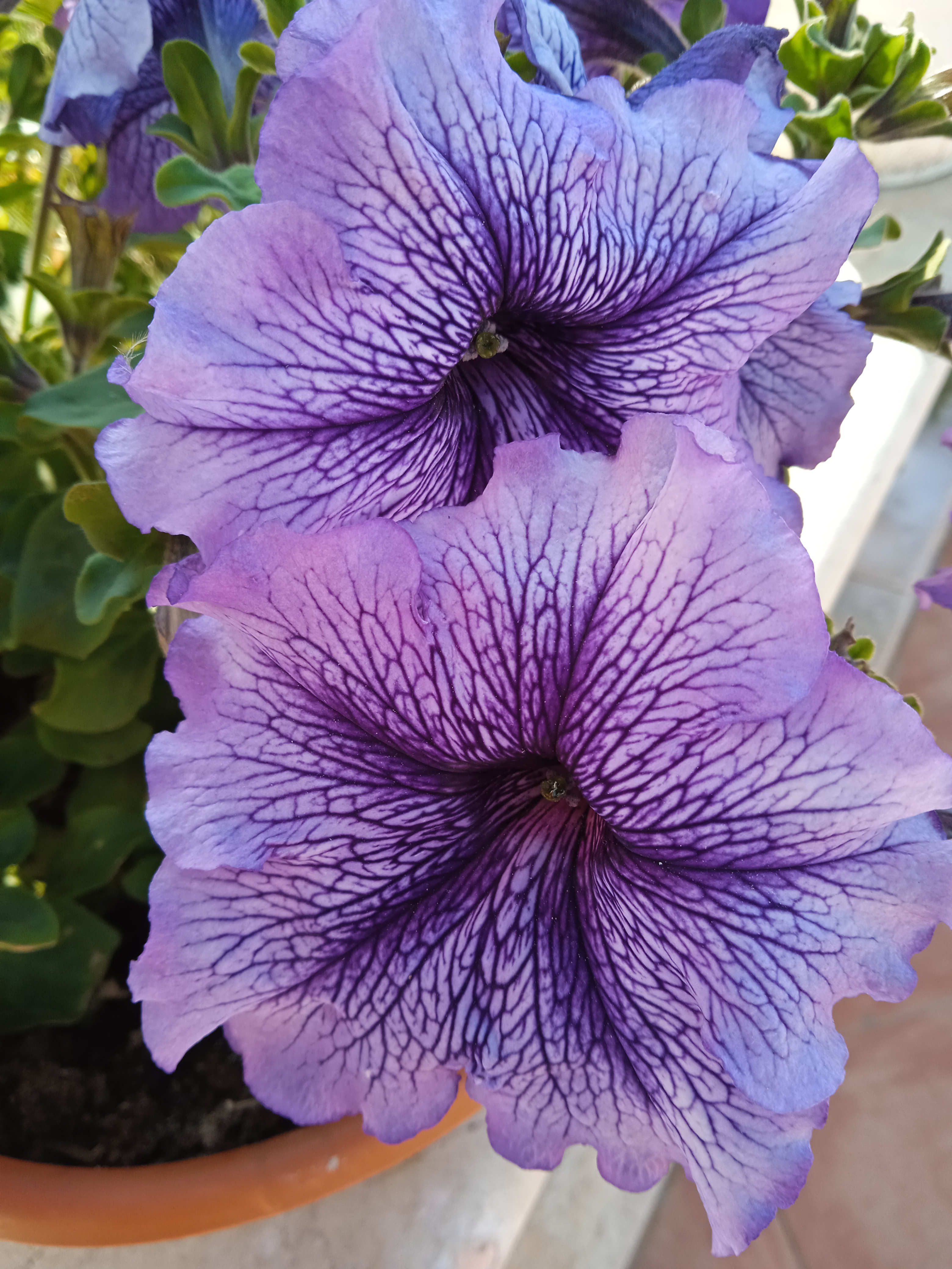 ���� ���� ������ �� ���� ������