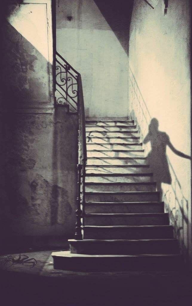 ���� ���� ������ �� ���� ������