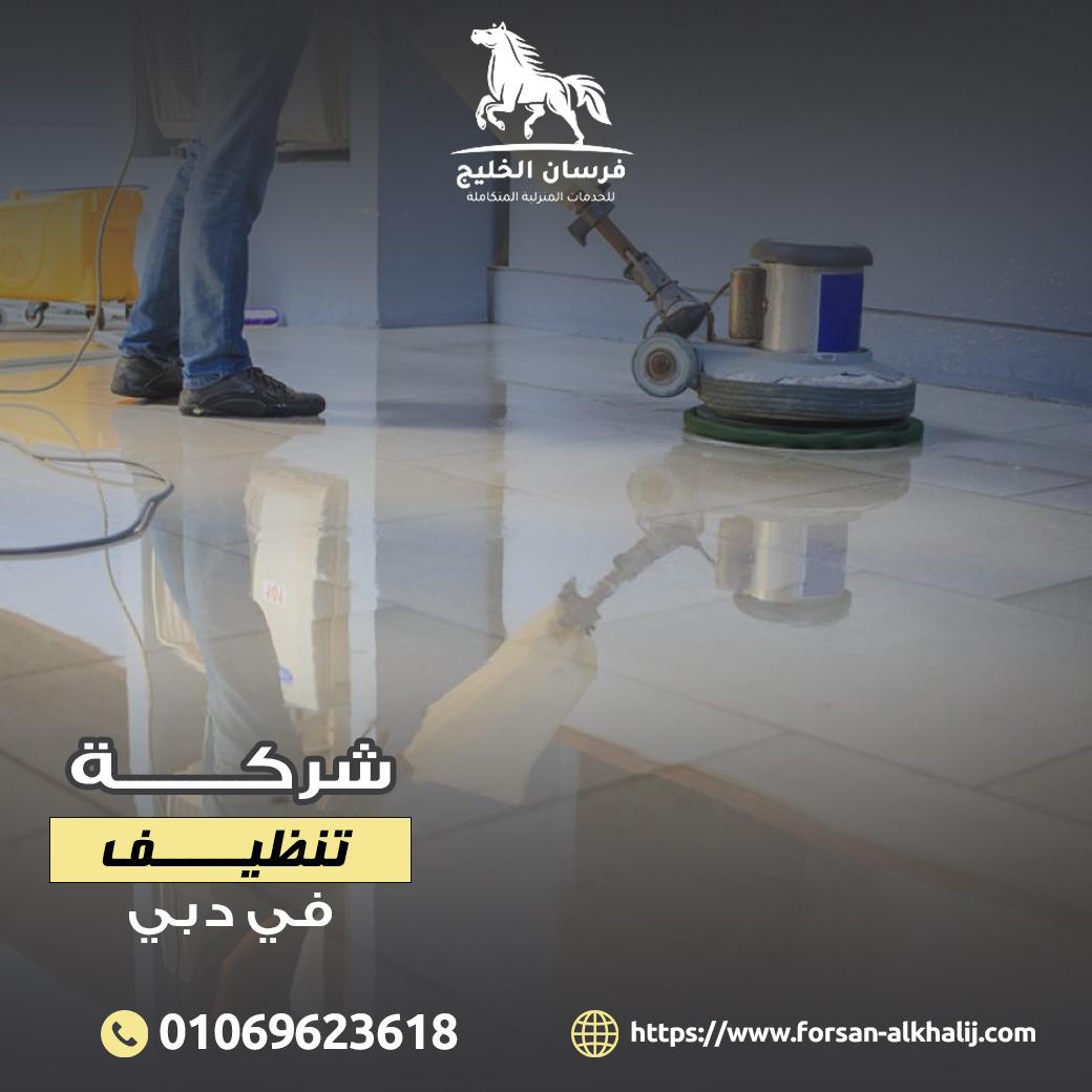 تنظيف - شركة تنظيف في دبي P_2659w0c7z1