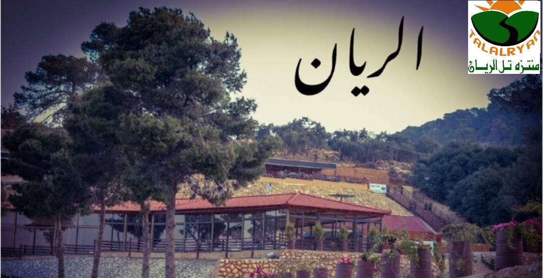 كافيه تل الريان