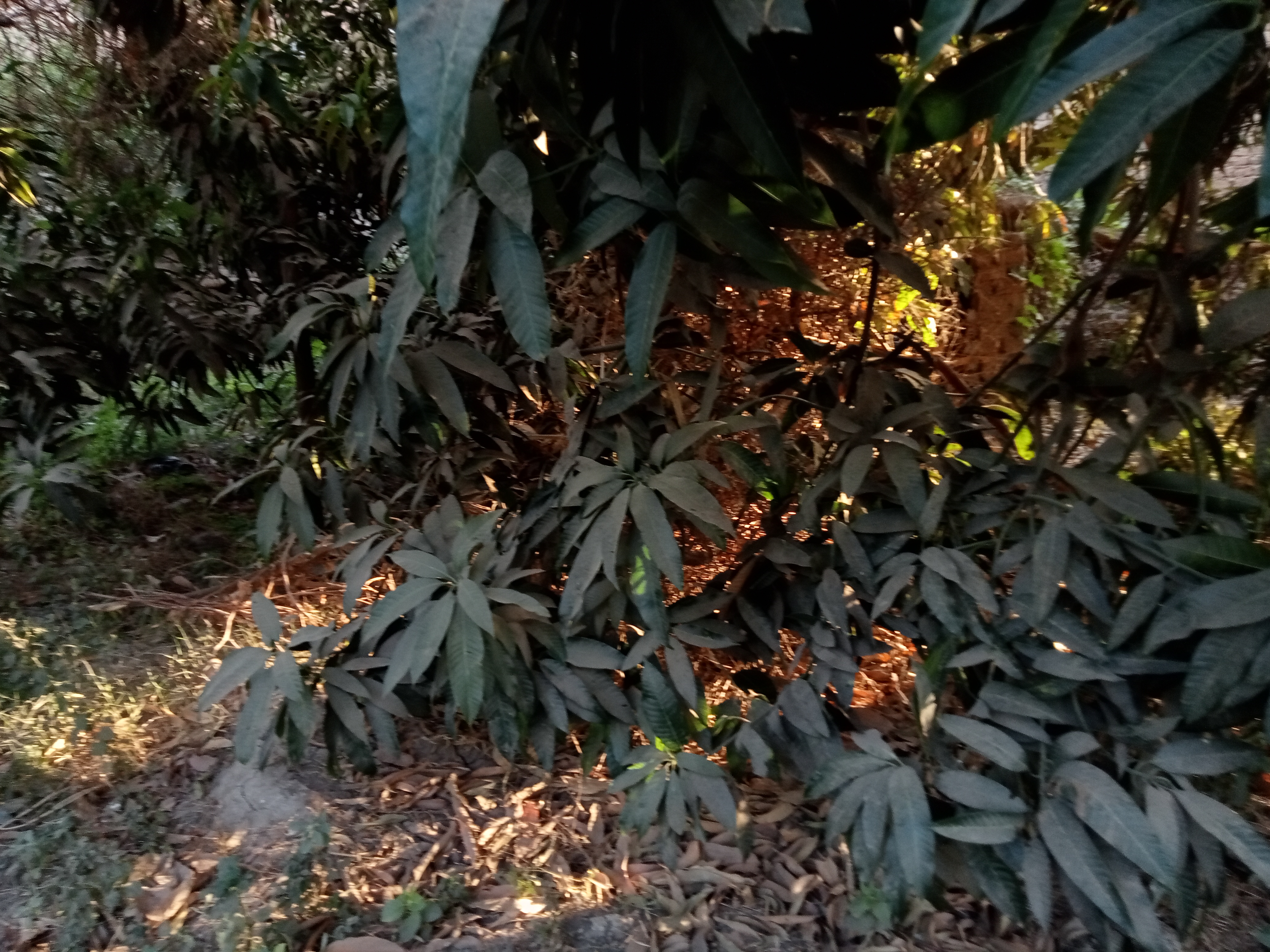 p_3473qlw7v5.jpg