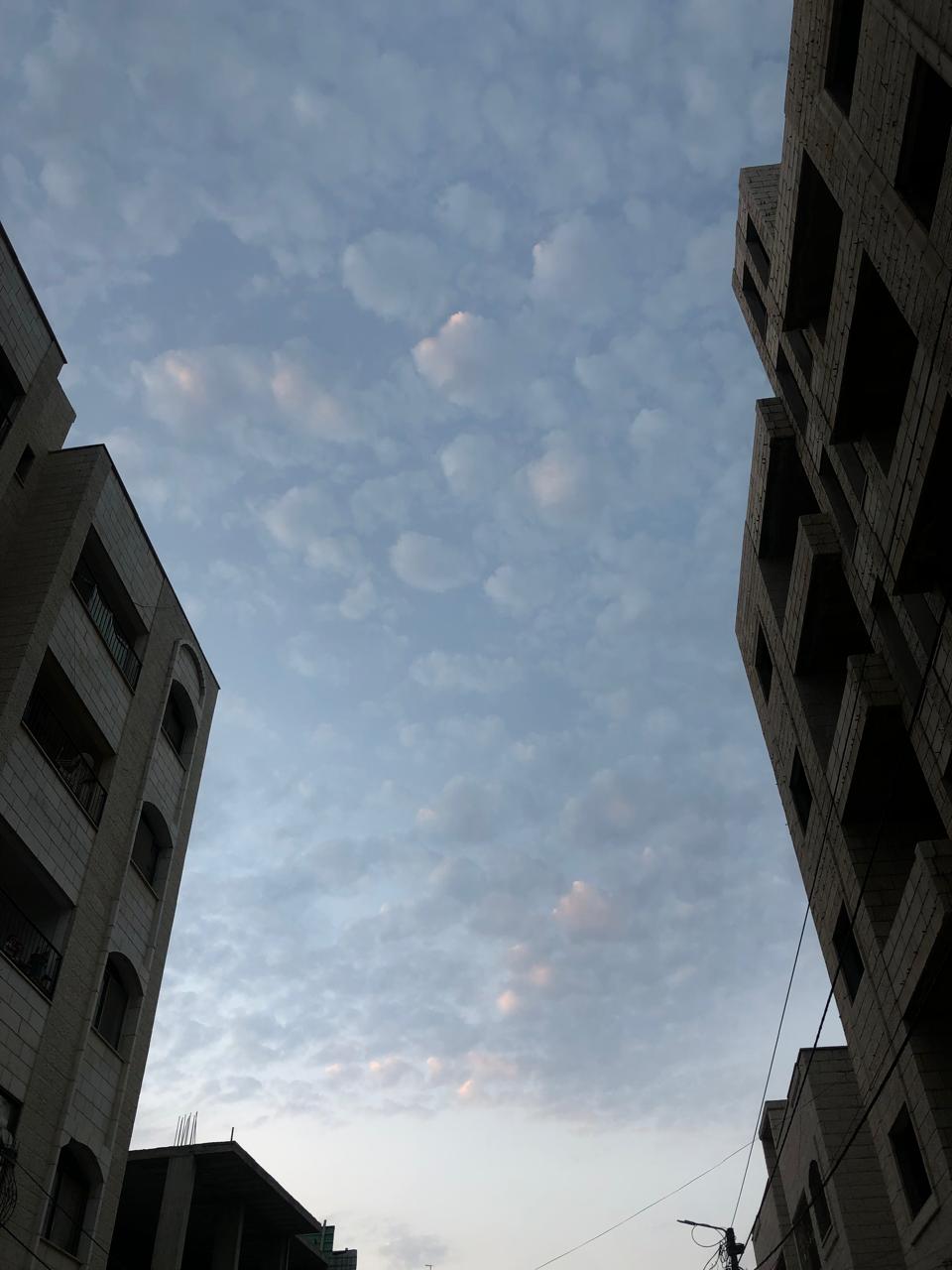 p_35101y9ge3.jpg