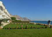 Hijaz Oasis image 5