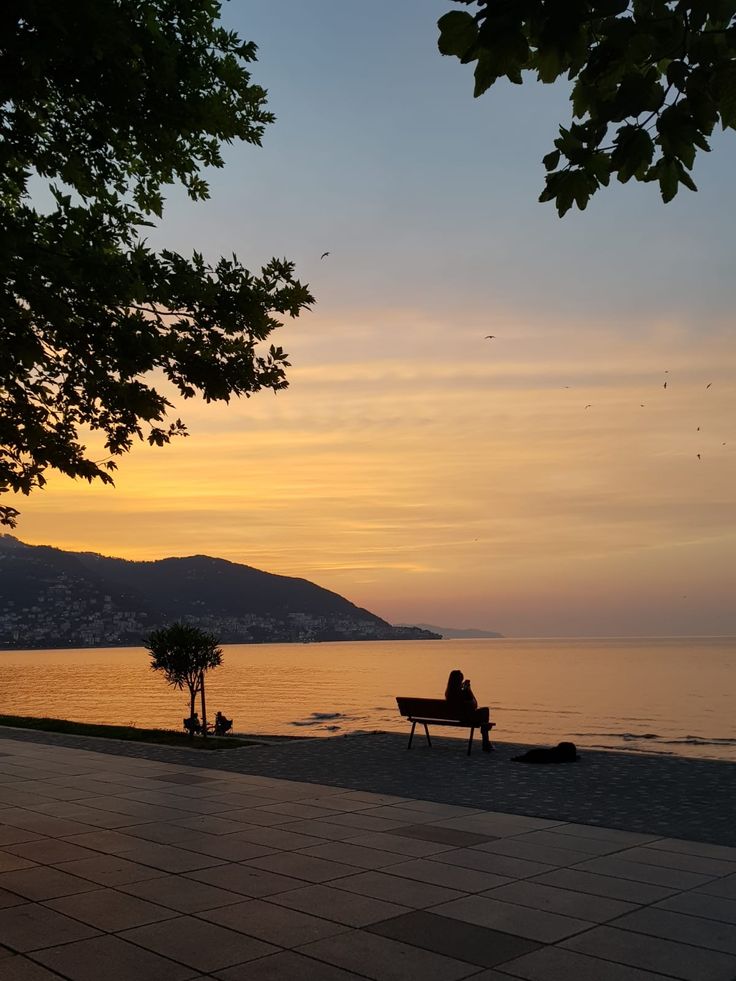 ���� ���� ������ �� ���� ������