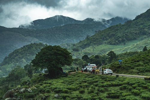 Ponmudi Hills