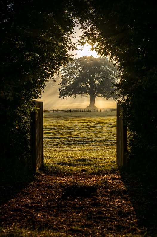 ������ ���� ������ �� ���� ������