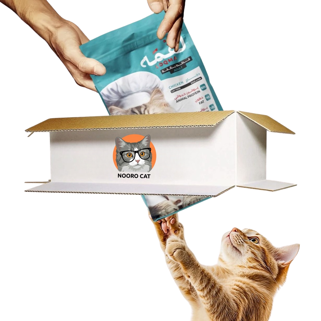 Nooro Cat Banner