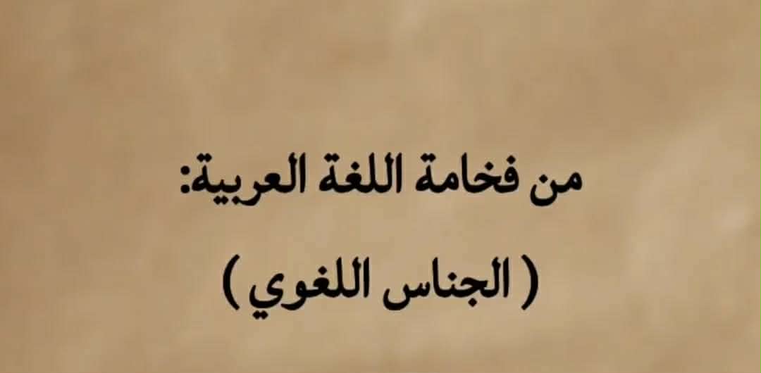 ���� ���� ������ �� ���� ������