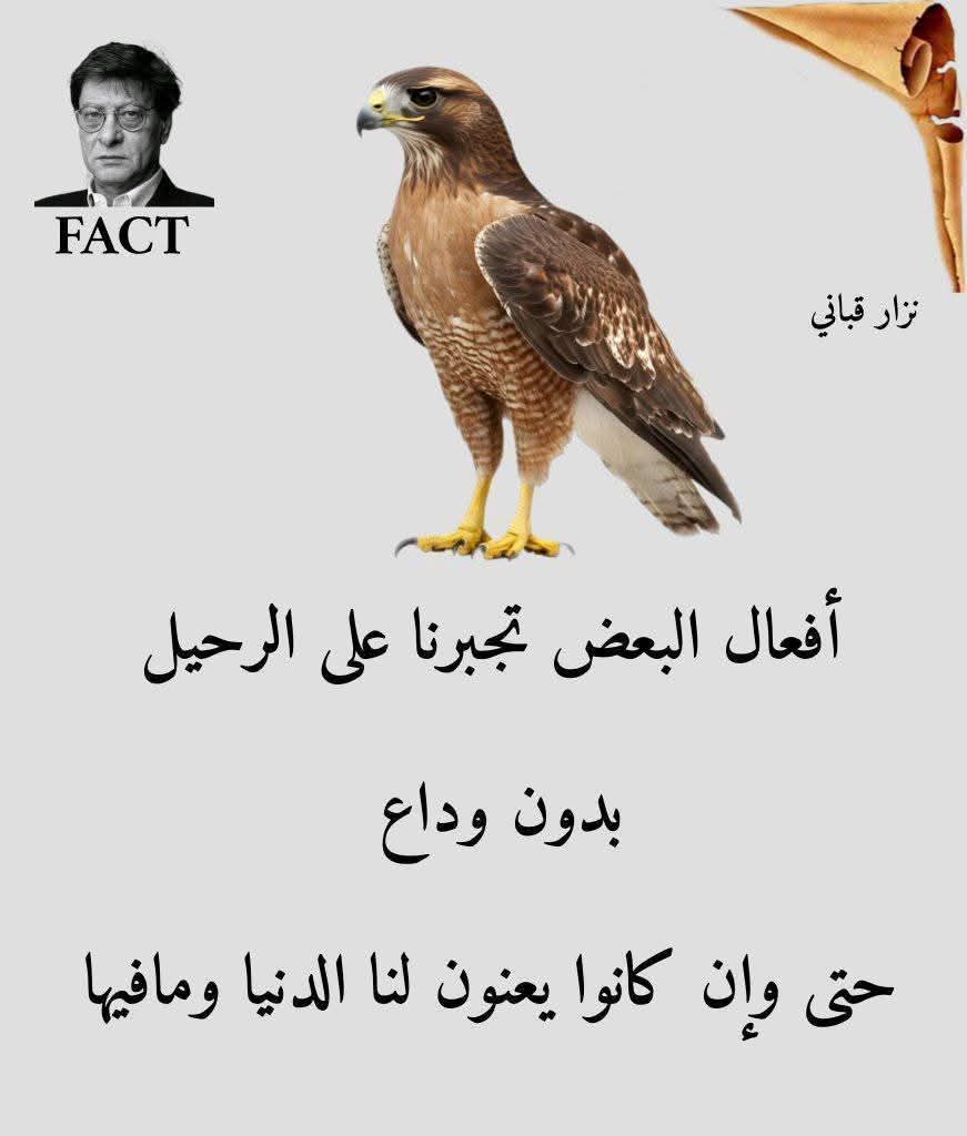 ����� ����� ������ ��� ������ 