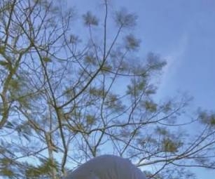  صورة تفيدة معمول الشخصية 