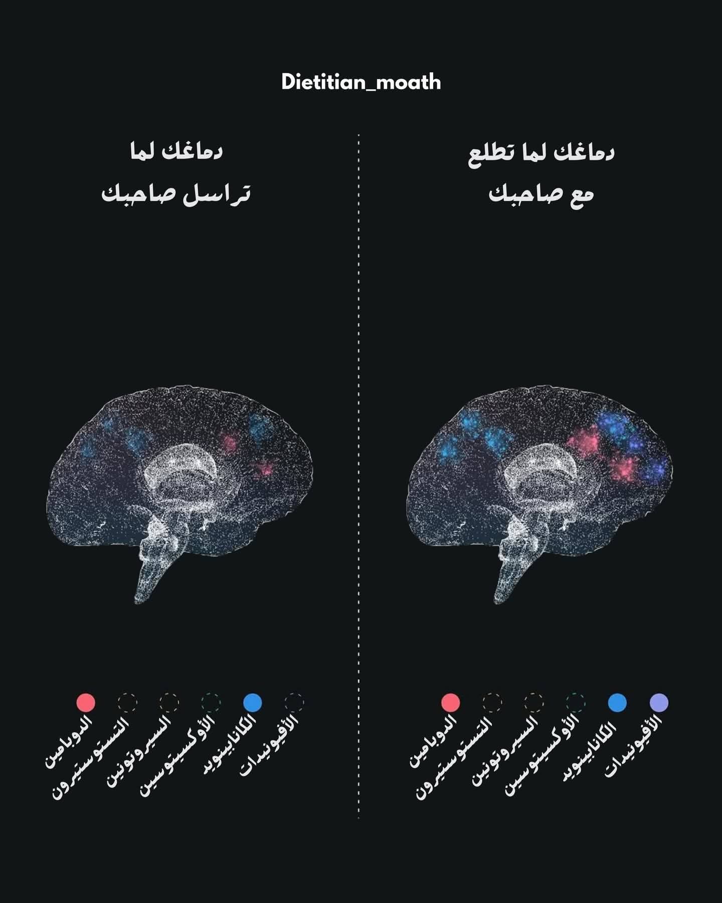 ���� �� ����� ������� 