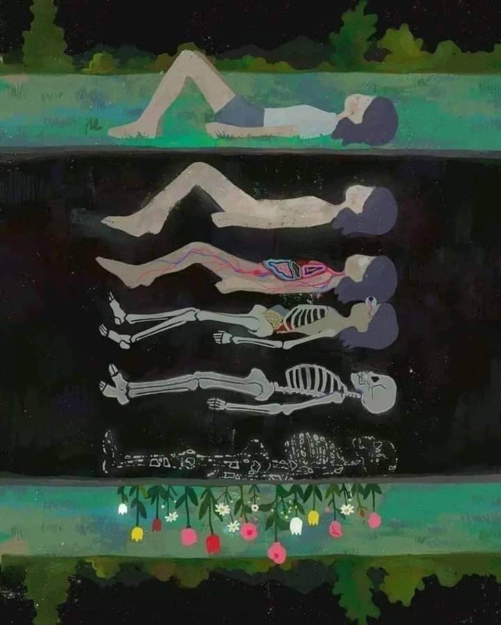 ������ ���� ������ �� ���� ������