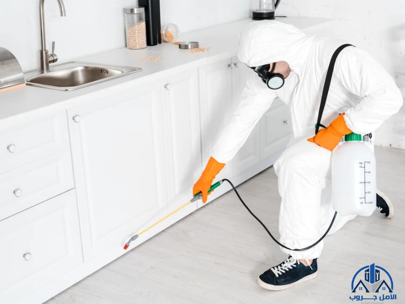 مكافحة حشرات بالرياض