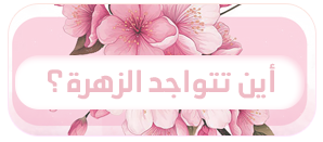 p_37770qhoz1.png
