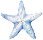 p_38403613d1.png