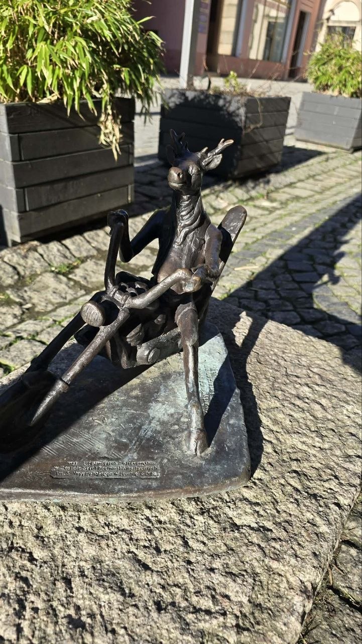 p_39107mnfz1.jpg