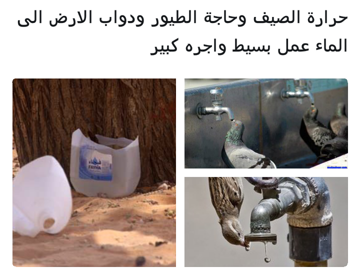 فضل صدقة الماء ووضعه للطيور والحيوانات وكل كبد رطبة اجر p_517a22ce0.png